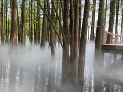 -东湖落雁景区