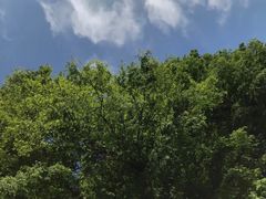 -山王坪喀斯特国家生态公园