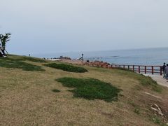 -小麦岛公园