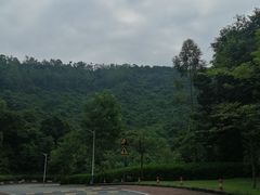 -火炉山森林公园