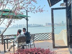 -金鸡湖桃花岛