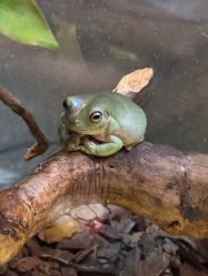 -Zoolung Zoolung动物主题公园(海信广场店)