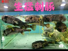 -欧记·龙城港(欣都店)