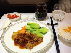 -新加坡航空公司(ION)
