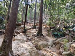 -白马涧龙池景区