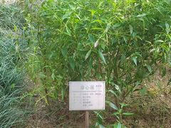 -广州神农草堂中医药博物馆