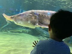 -厦门海底世界
