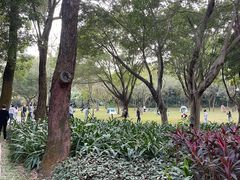 -莲花山公园