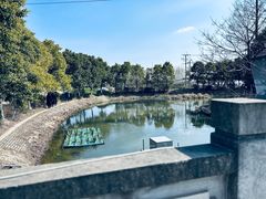 -小鱼草莓采摘园农家乐·小鱼餐厅