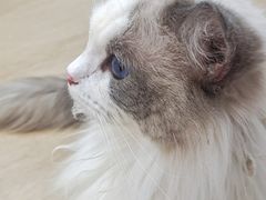 -1013 PET SHOP 宠物商店(近铁城市广场店)
