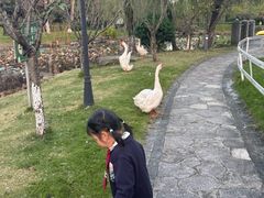 -宁波九龙湖开元度假村