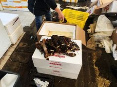 -众彩物流水产市场