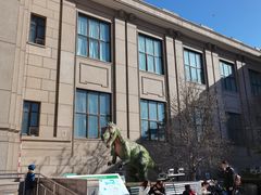 -国家自然博物馆