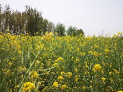 -西海岸生态观光园