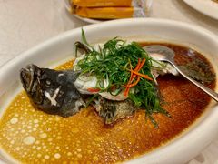 鲈鱼-富黎华海鲜大酒楼(正大广场店)