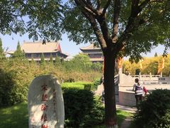 -大槐树寻根祭祖园