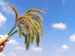 -申隆生态园-上海东方金融小镇