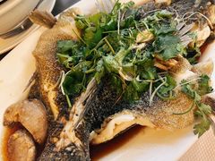 -珍宝海鲜(东海岸海鲜中心)