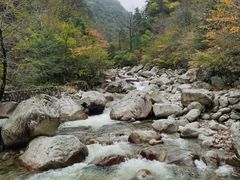 -青峰峡国家森林公园