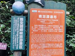 -碧峰峡风景区