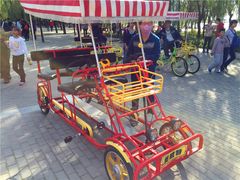 四轮四人车-野鸭湖国家湿地公园