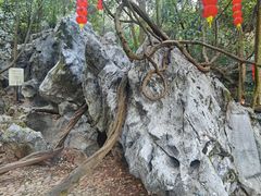 -杭州西湖风景名胜区-三生石