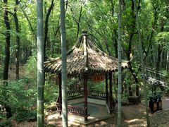-宝岩生态观光园