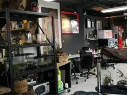 -周忆刺青原创设计定制