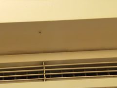 -深圳观澜格兰云天国际酒店