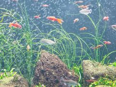 -成都浩海立方海洋公园