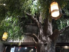 -东北农家饺子村(昌平路店)