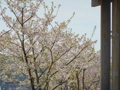 -玄武湖景区-情侣园游乐场