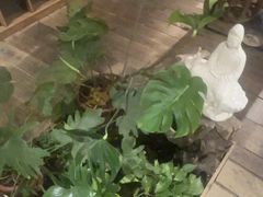 -邈墨茶馆(大兜路1号店)