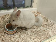 -龙猫仔乐园(惠福东路店)