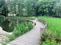 -成都市活水公园