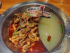 -成老灶火锅鸡(平山店)