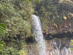 -龙苍沟森林公园