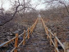 -北京西山国家森林公园