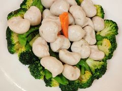 -黄埔华苑酒家(黄埔店)