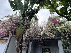 -深圳国际园林花卉博览园