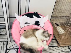 -白夜2D咖啡馆