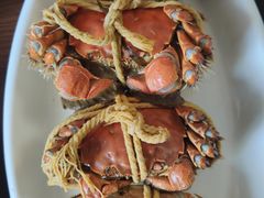 太湖大闸蟹-美味之家·湖景农家乐(太湖东山店)