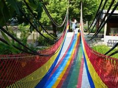 -苏州太湖西山岛开心农场