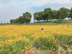 -苏州湾体育公园