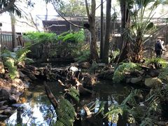 -费瑟代尔野生动物园