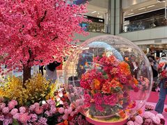 -新城市广场
