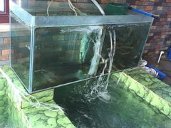 -荣德灶台鱼(圣泉寺店)