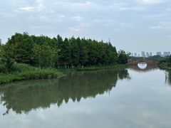 -三垟湿地