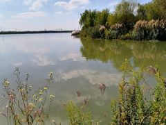 -南湖湿地公园