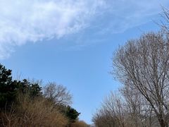 -北京西山国家森林公园